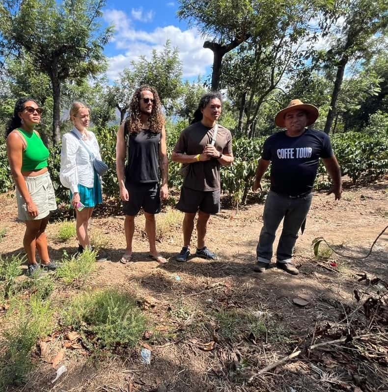 Coffee Farm Experience